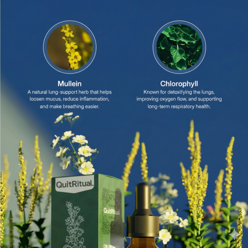 Natural Daily Lung Support