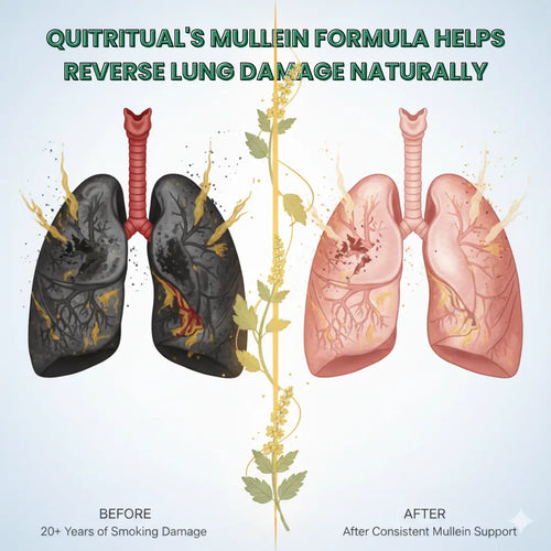 Ritual® | CleanAir™ Device